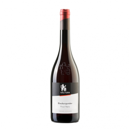 Alto Adige Pinot Nero Saltner 2020 Riserva Kaltern